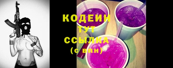 молекула духа Осинники