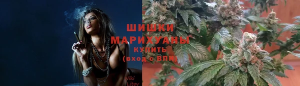 прущие крисы Абаза