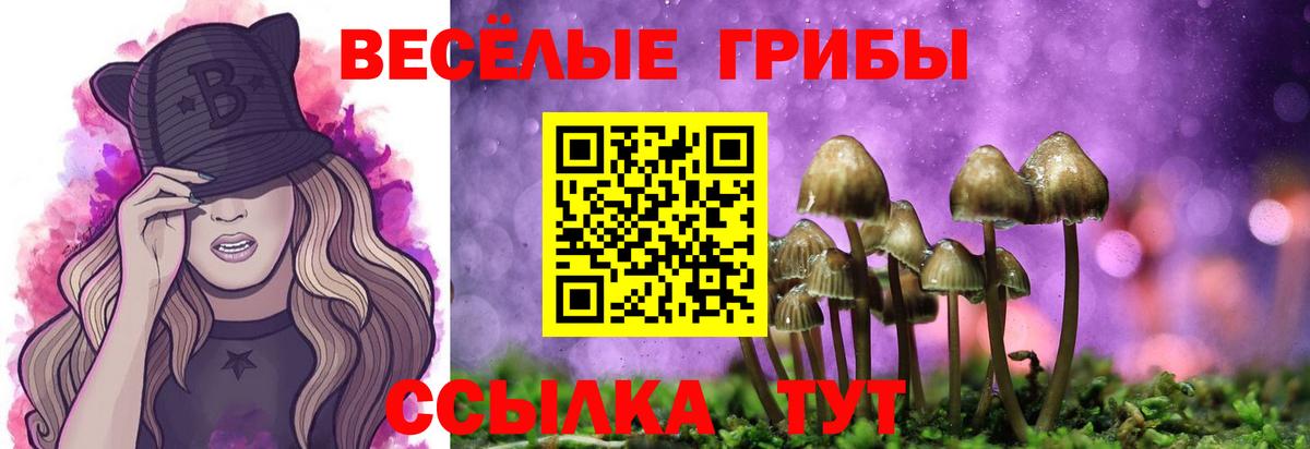 купить наркотики цена  Галлюциногенные грибы мицелий  Россошь  Вход с VPN  Псилоцибиновые грибы мухоморы 