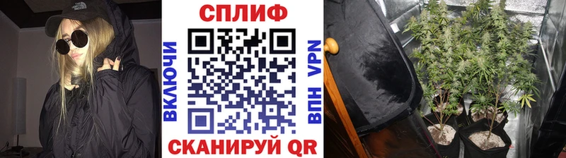 Каннабис VHQ  наркотики  Россошь 